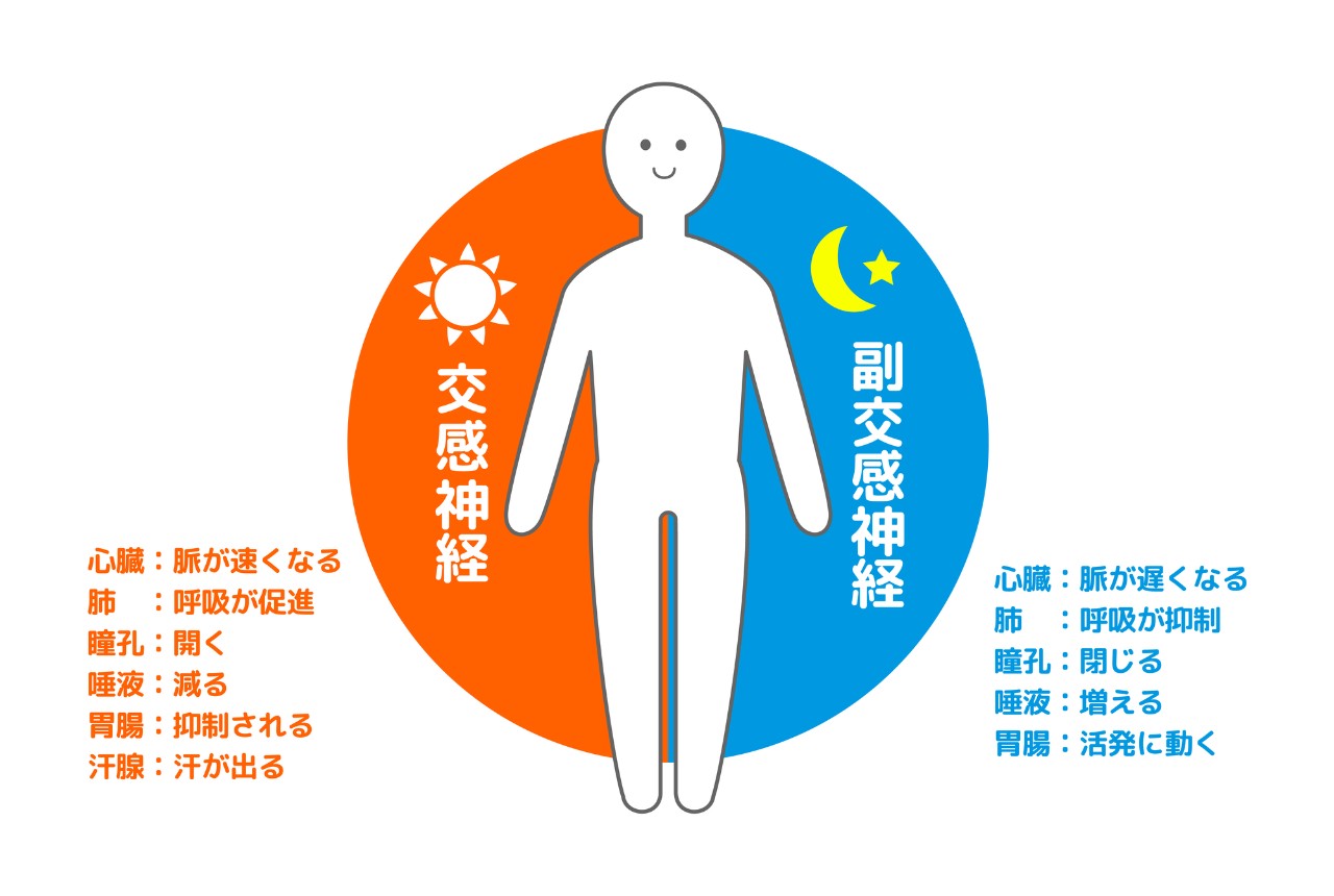 春こそ大切にしたい　自律神経のセルフケアをしましょう！