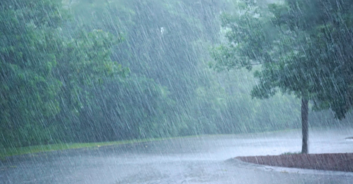 ゲリラ豪雨や台風が多いこの時期に！　水害対策のススメ