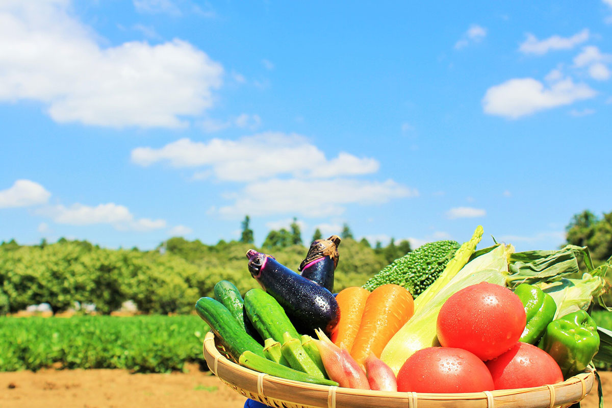 暑すぎる夏に！　夏バテに勝つ栄養素